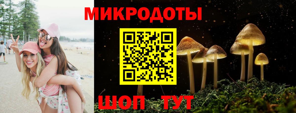 Мурино  Псилоцибиновые грибы мицелий  Галлюциногенные грибы прущие грибы  Вход с VPN 